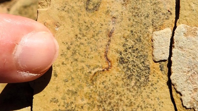 Estudo traz novas conclusões sobre rochas de 544 milhões de anos encontradas em Corumbá