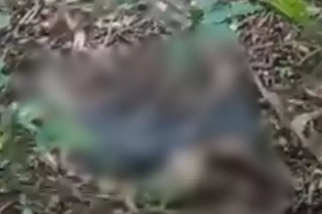 Corpo em decomposição é encontrado perto do Horto Florestal