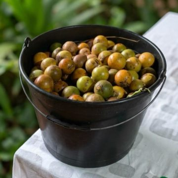 casca fruta esfoliante