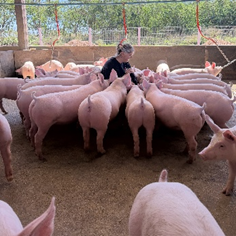 Vetanco anuncia vencedora do 3º Concurso Fotográfico Bacon Lovers; confira